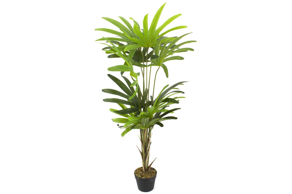 Plante permanente palmier 12 feuilles