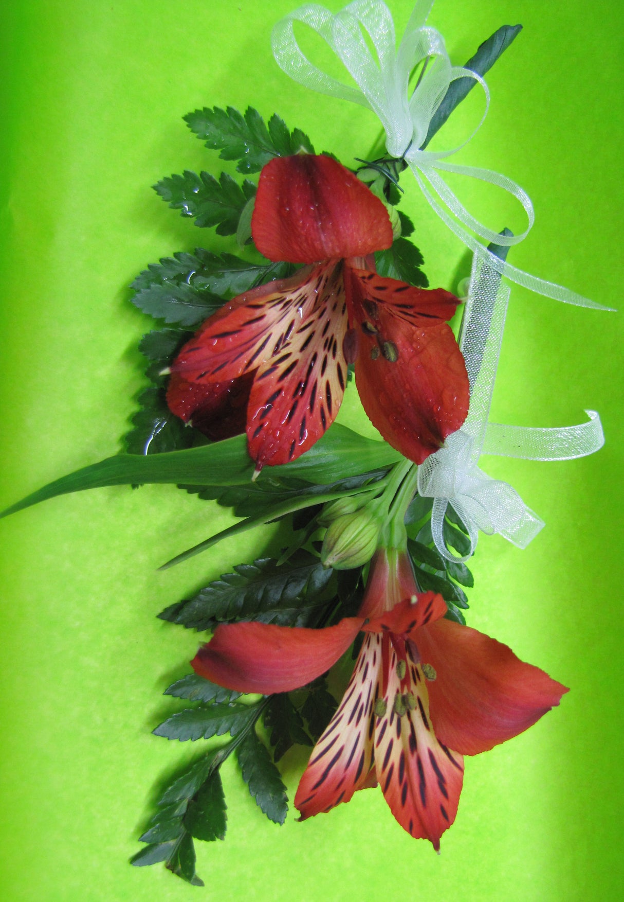 Boutonnière LHF 200609