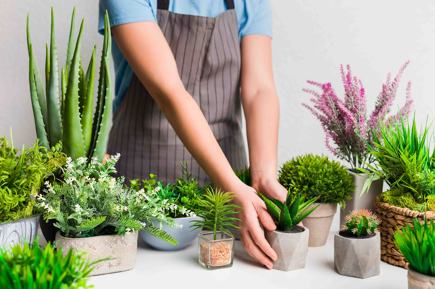 Plantes artificielles
